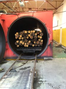 Poteaux électriques téléphoniques Bois De Pologne traitement autoclave