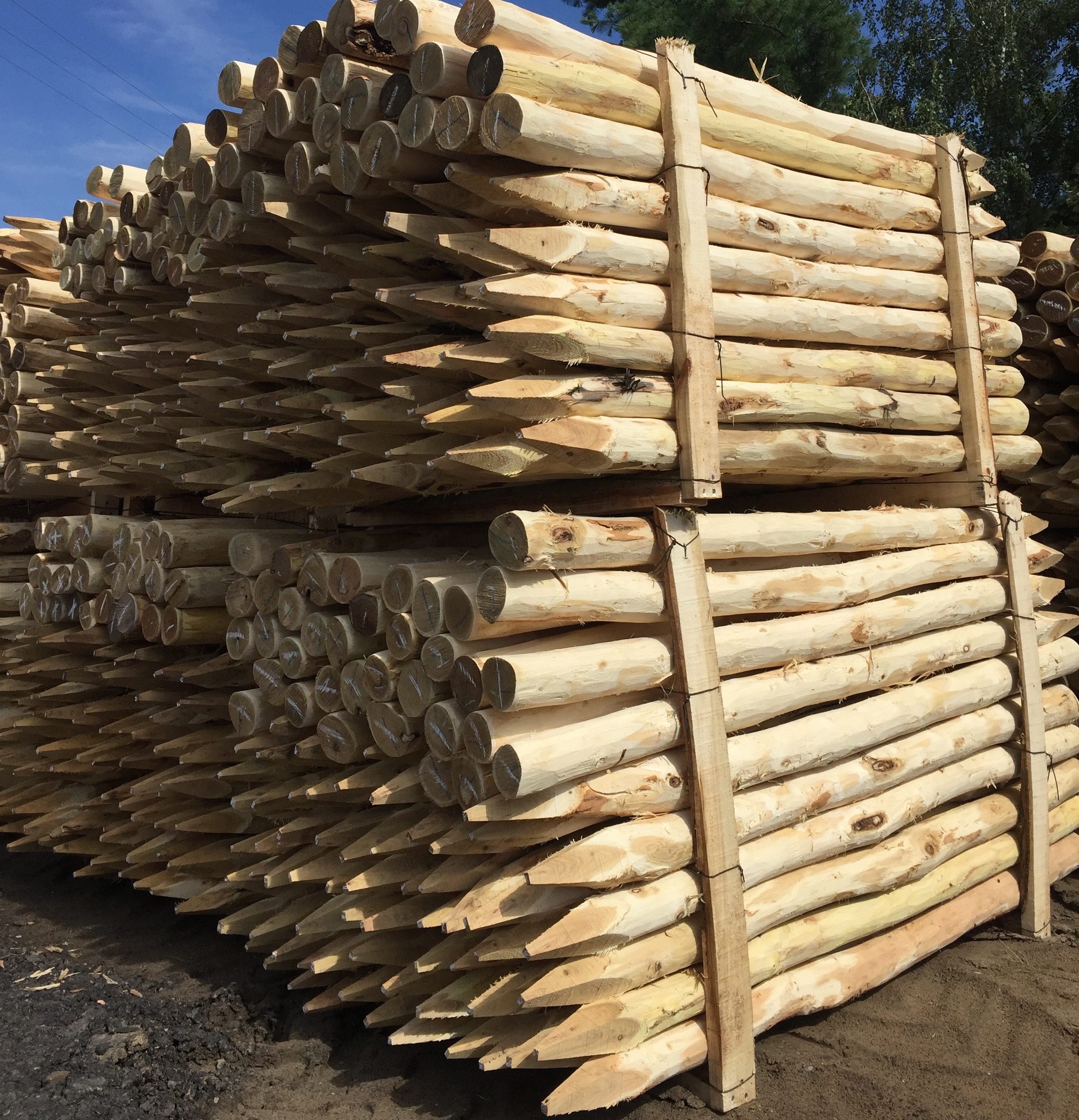 Kiosque en bois pin naturel FSC traité autoclave