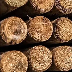 Rondins et piquets en écorces de pin rabote et traité en autoclave