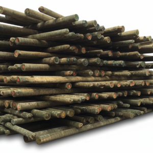 Poteaux électriques et téléphoniques