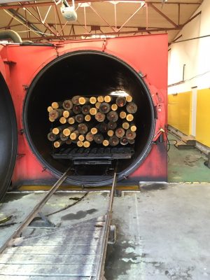 Poteaux électriques téléphoniques Bois De Pologne traitement autoclave