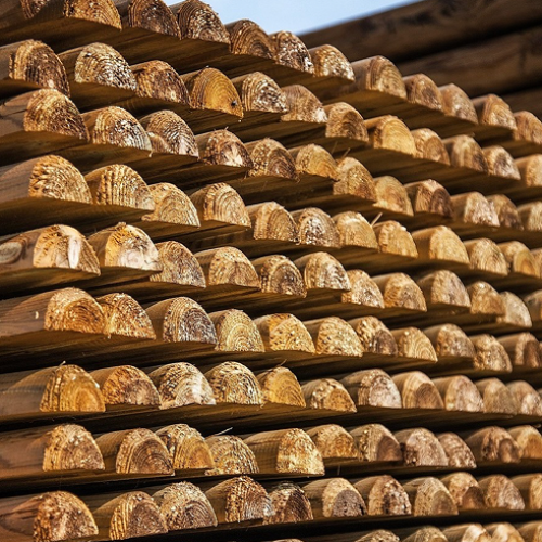 Photos de rondins et demis rondins piquets en pin de Pologne